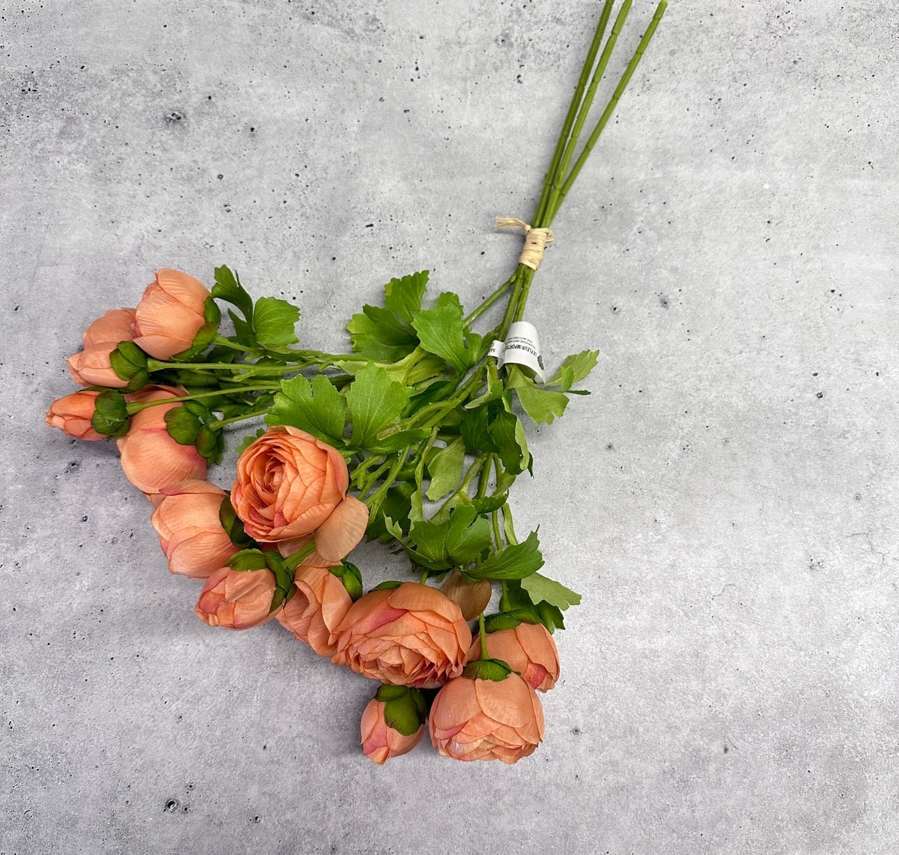 Peach Princess Ranunculus Peach Ranunculus