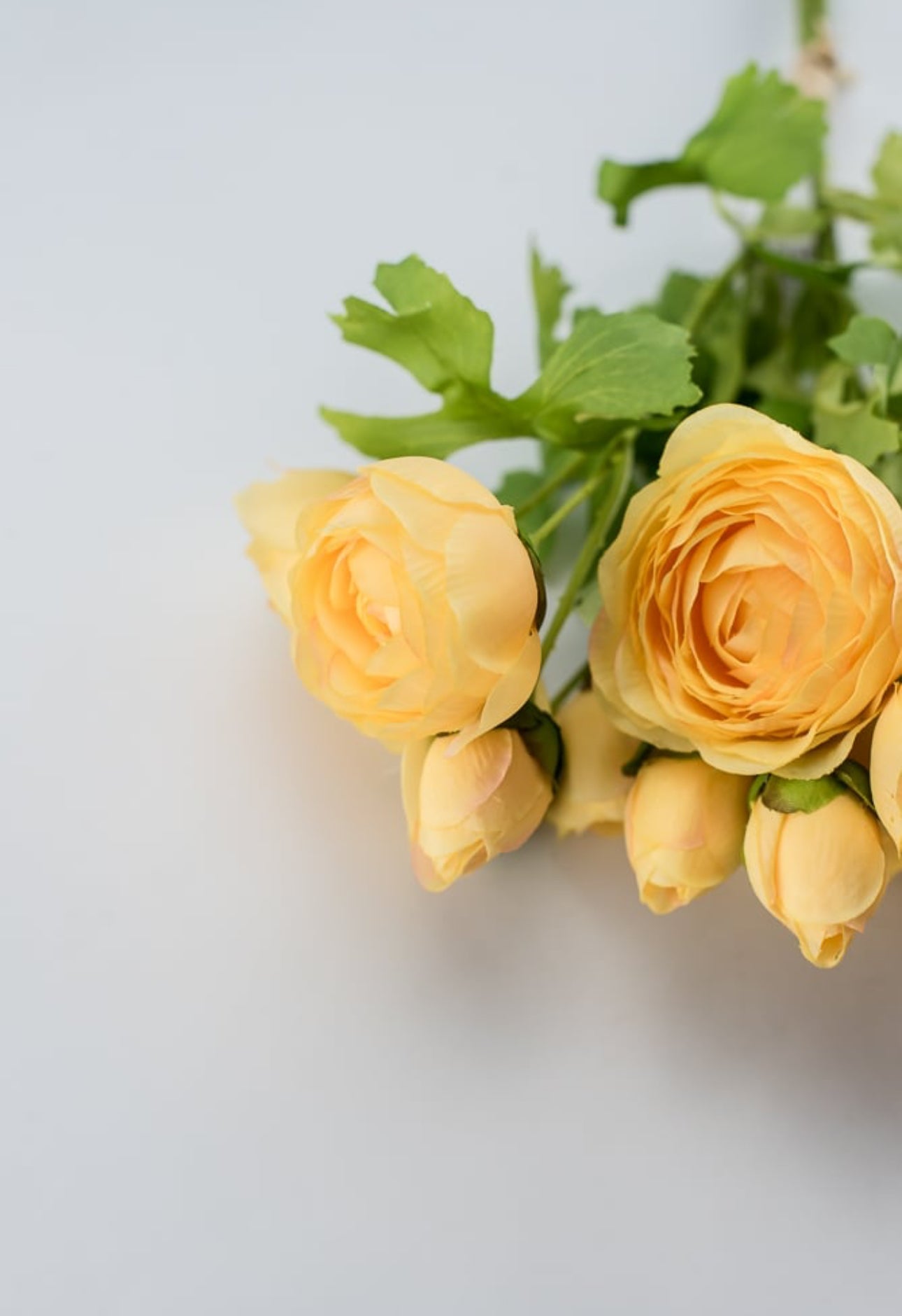 Creamy Yellow ranunculus bundle - Greenery Marketartificial flowers27038