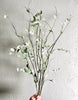 Daisy twig eucalyptus spray - Greenery MarketDEUSP