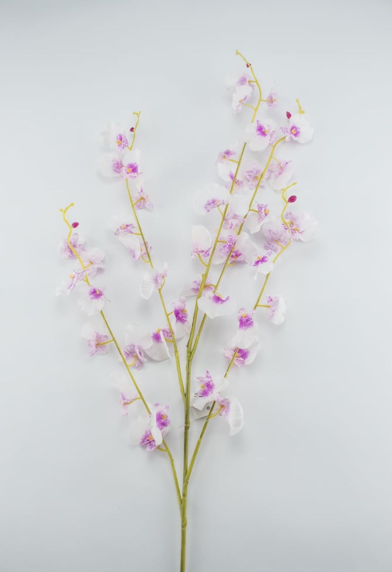 Dancing orchid Flower spray - pink white - real touch - Greenery MarketArtificial Flora5600-PCER