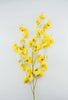 Dancing orchid Flower spray - yellow - real touch - Greenery MarketArtificial Flora5600-Y