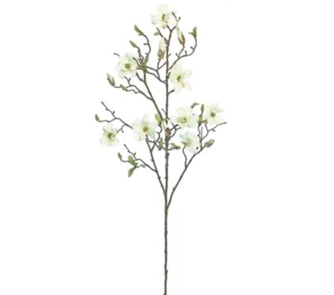 Dwarf Magnolia flower branch - Greenery Market3045-c