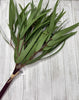 Eucalyptus bundle, green soft touch greenery - Greenery Marketgreenery147524