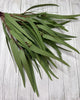 Eucalyptus bundle, green soft touch greenery - Greenery Marketgreenery147524