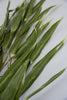 Eucalyptus greenery spray - Greenery Market26967