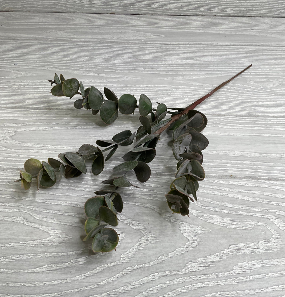 Eucalyptus pick - blush pink tips - Greenery MarketArtificial Flora26266