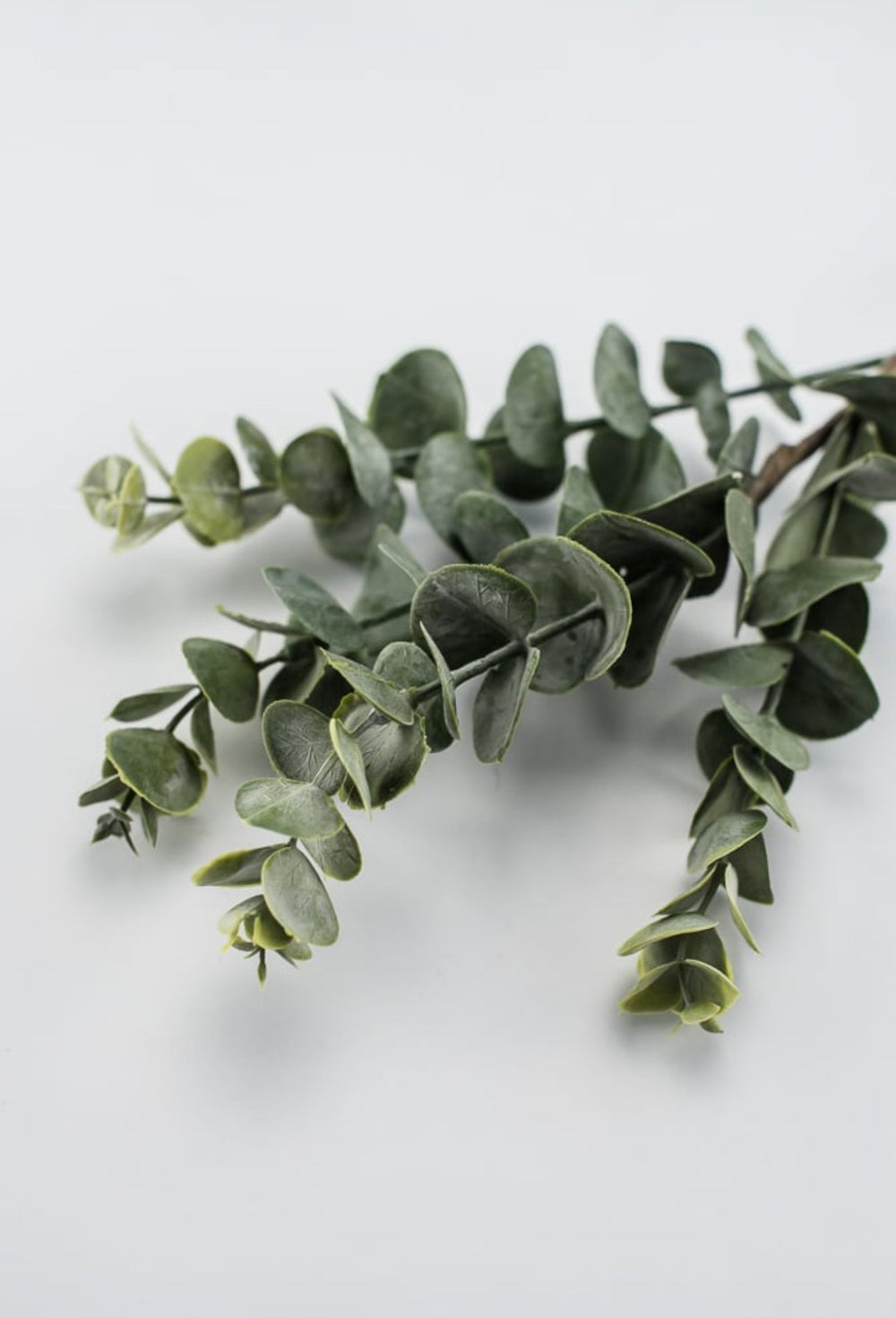 Eucalyptus spray - green - Greenery MarketArtificial Flora26264