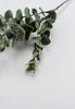 Eucalyptus spray - green - Greenery MarketArtificial Flora26264