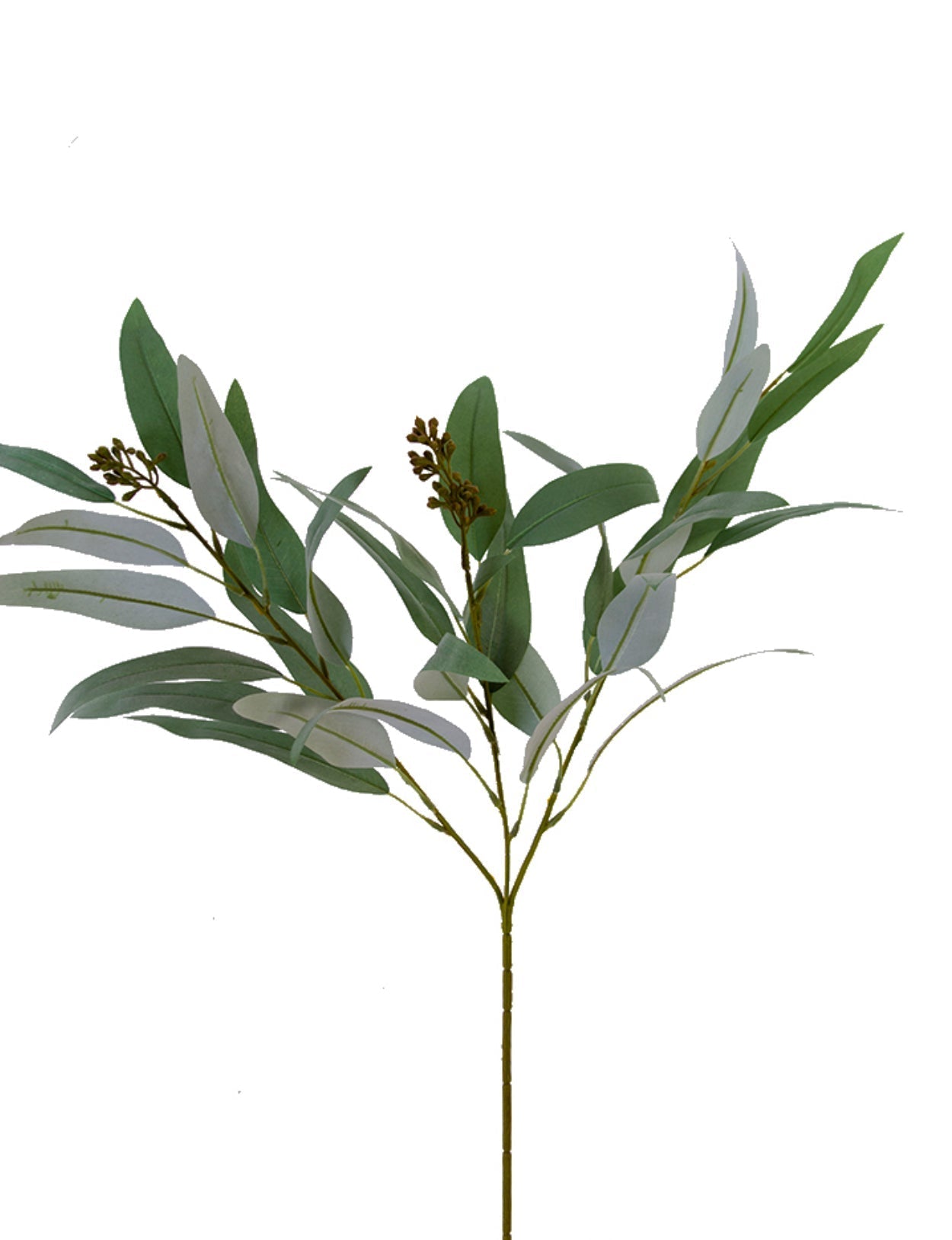 Eucalyptus willow leaves spray - Greenery Market2310322GR