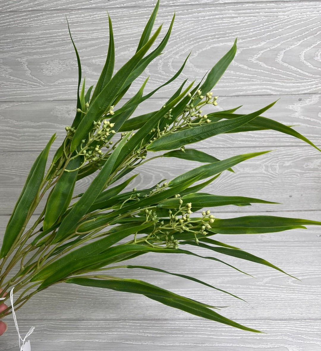 Eucalyptus with seed greenery bush - Greenery Market26960