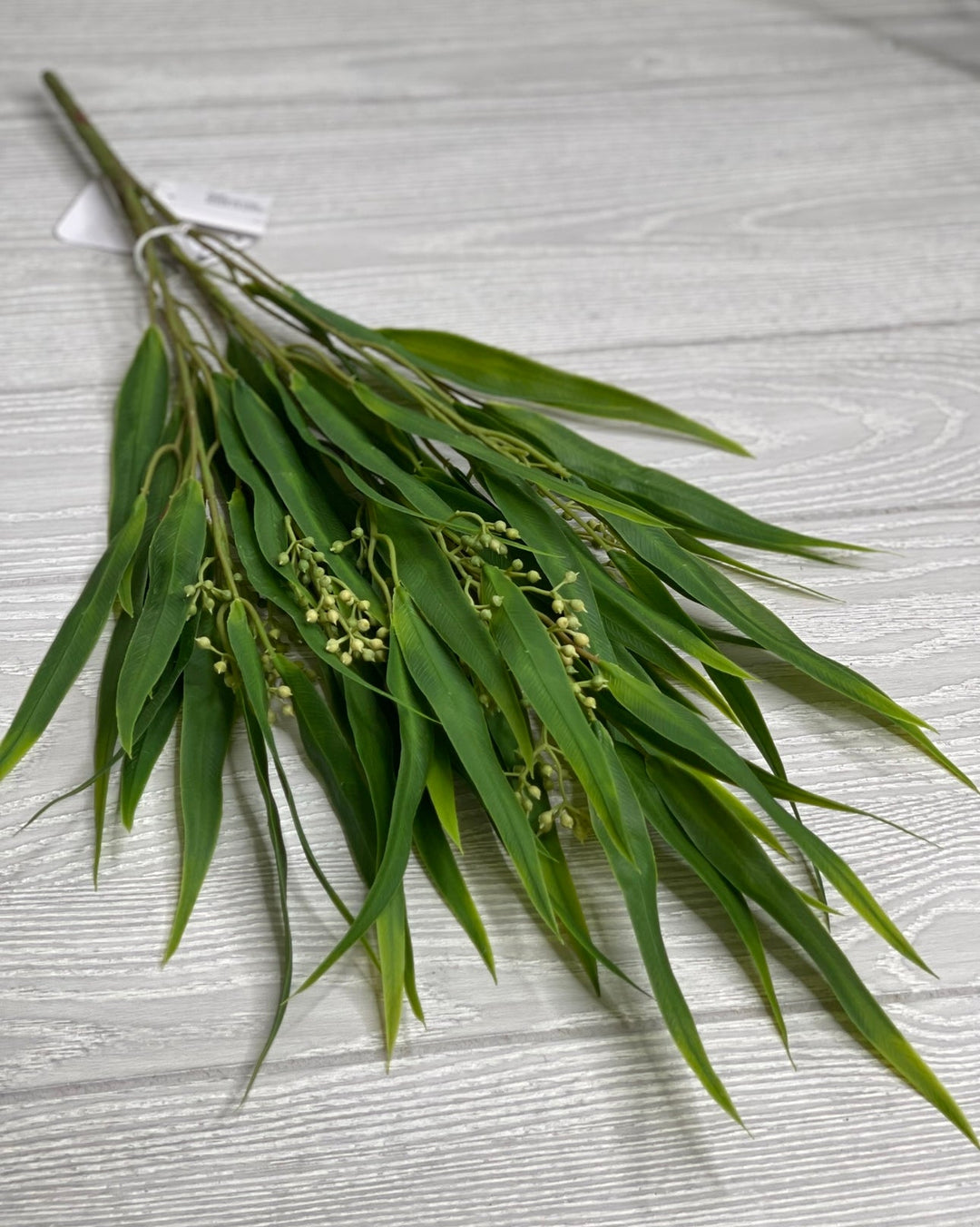 Eucalyptus with seed greenery bush - Greenery Market26960