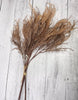 Faux dried fern grass bundle - brown - Greenery MarketArtificial Flora26299