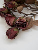Faux dried mini rose spray bundle - burgundy - Greenery MarketArtificial Florabulk 26242 x 6