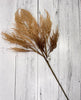 Faux Dried reed spray - cream / tan - Greenery MarketArtificial Flora26428