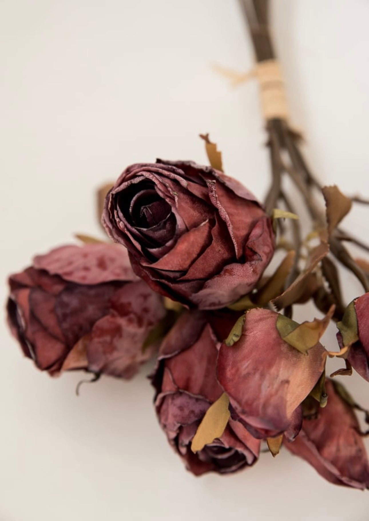 Dried Roses With Stems 