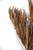 Faux dried wheat grass bundle - brown - Greenery MarketArtificial Flora26261