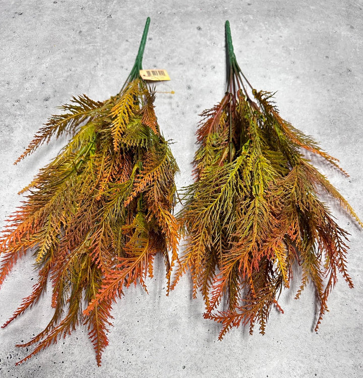 Feather fern, orange tipped greenery bush x 2 bushes - Greenery Marketspring summer greenery43204
