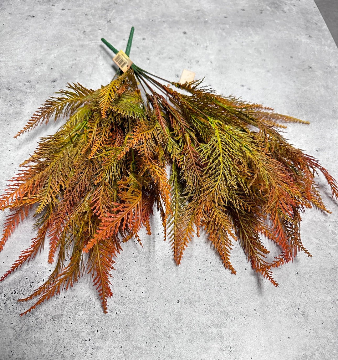 Feather fern, orange tipped greenery bush x 2 bushes - Greenery Marketspring summer greenery43204