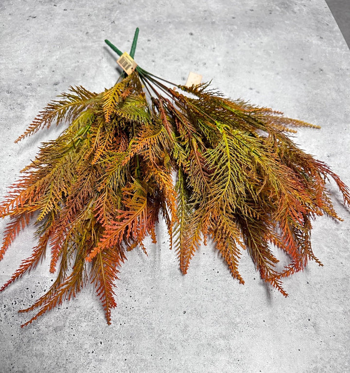 Feather fern, orange tipped greenery bush x 2 bushes - Greenery Marketspring summer greenery43204