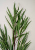 Feather leaf eucalyptus spray - Greenery Market2310210SG
