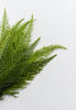 fern bush - green - Greenery Marketartificial flowers84024