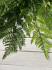 Fern Bush, large greenery bush, artificial ferns bush - Greenery Marketspring summer greenery25771