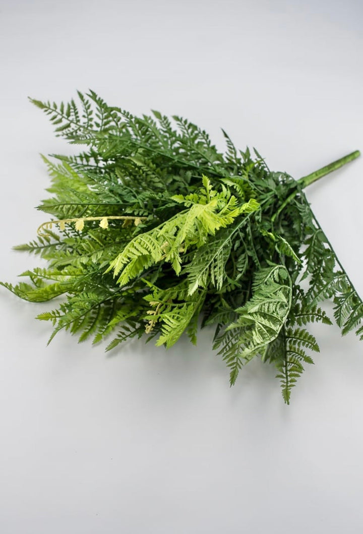 Fern Bush, large greenery bush - Greenery Marketspring summer greenery25771