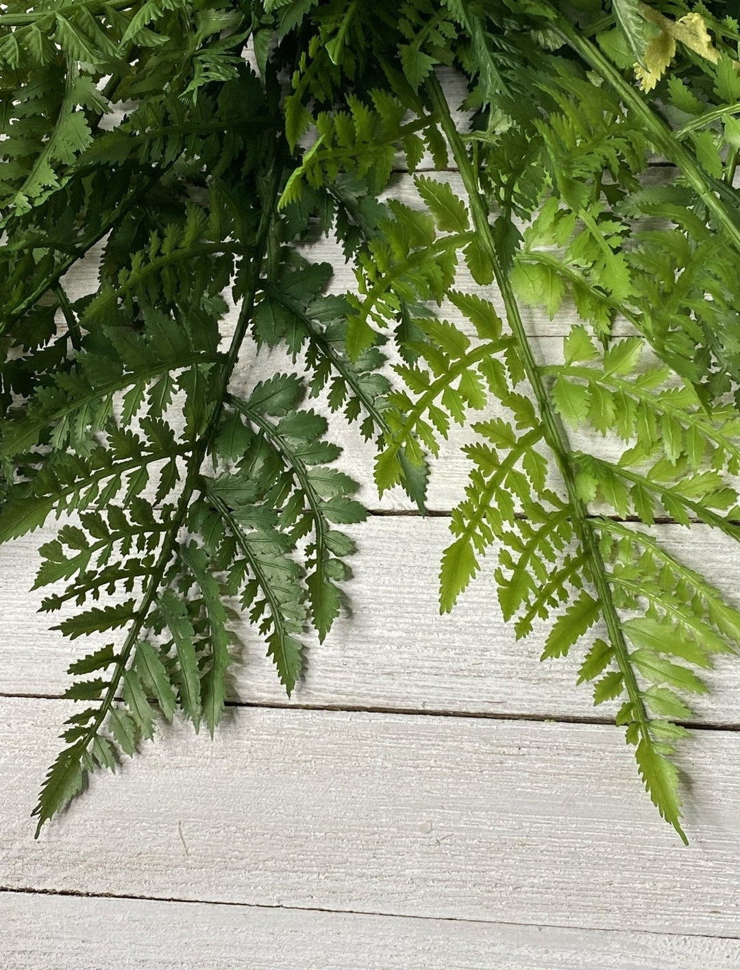 Fern Bush, large greenery bush - Greenery Marketspring summer greenery25771