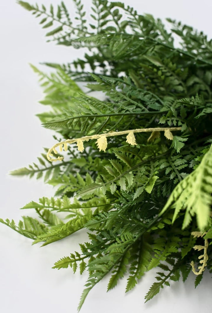 Fern Bush, large greenery bush - Greenery Marketspring summer greenery25771