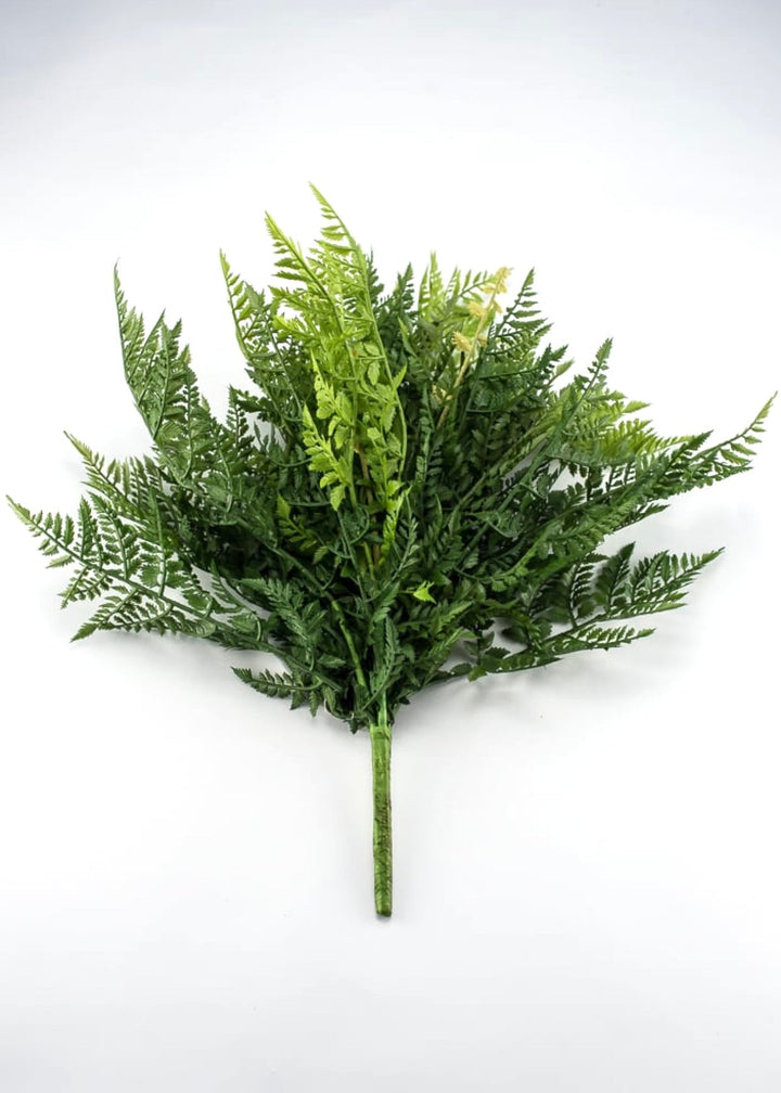 Fern Bush, large greenery bush - Greenery Marketspring summer greenery25771