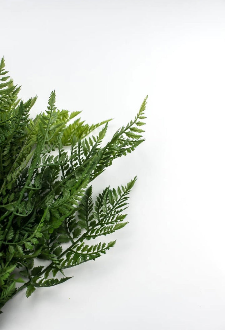 Fern Bush, large greenery bush - Greenery Marketspring summer greenery25771