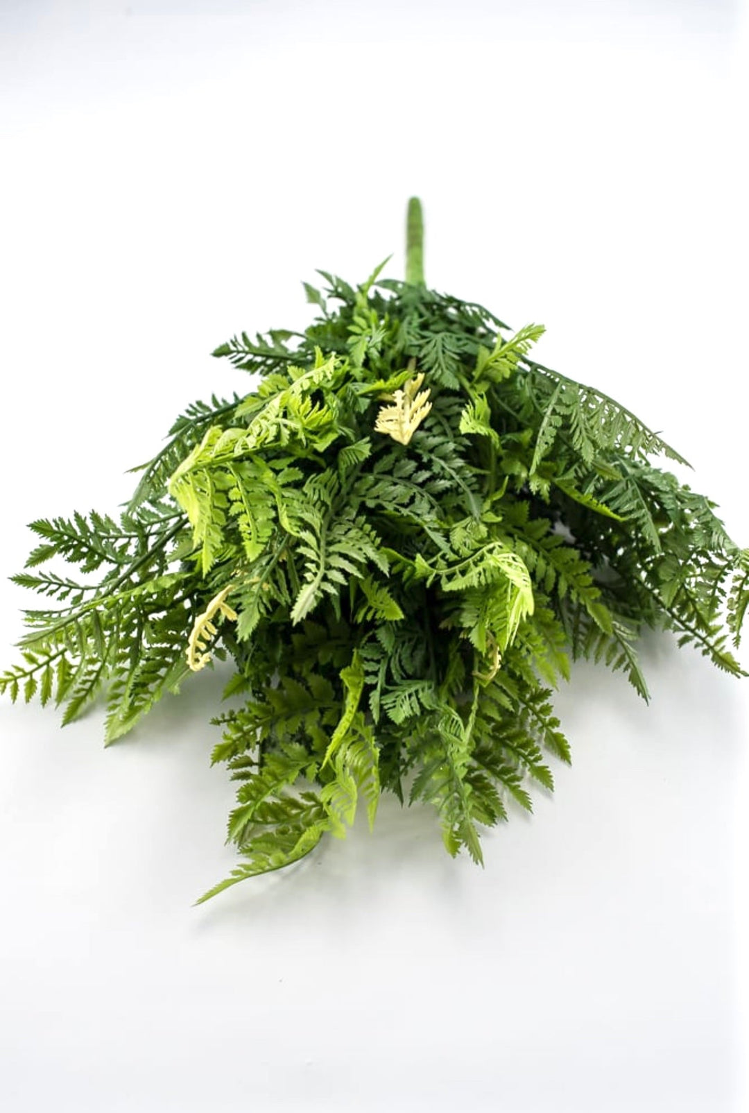 Fern Bush, large greenery bush - Greenery Marketspring summer greenery25771