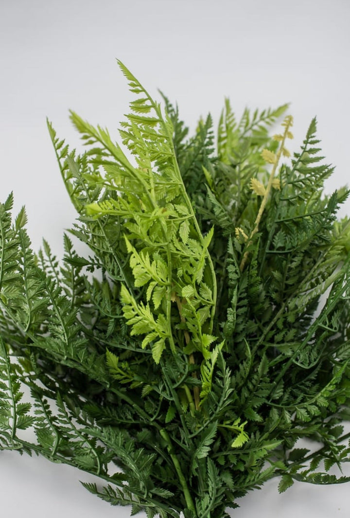 Fern Bush, large greenery bush - Greenery Marketspring summer greenery25771