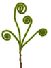 Fern fronds pick with moss - Greenery Marketgreenery29448gn