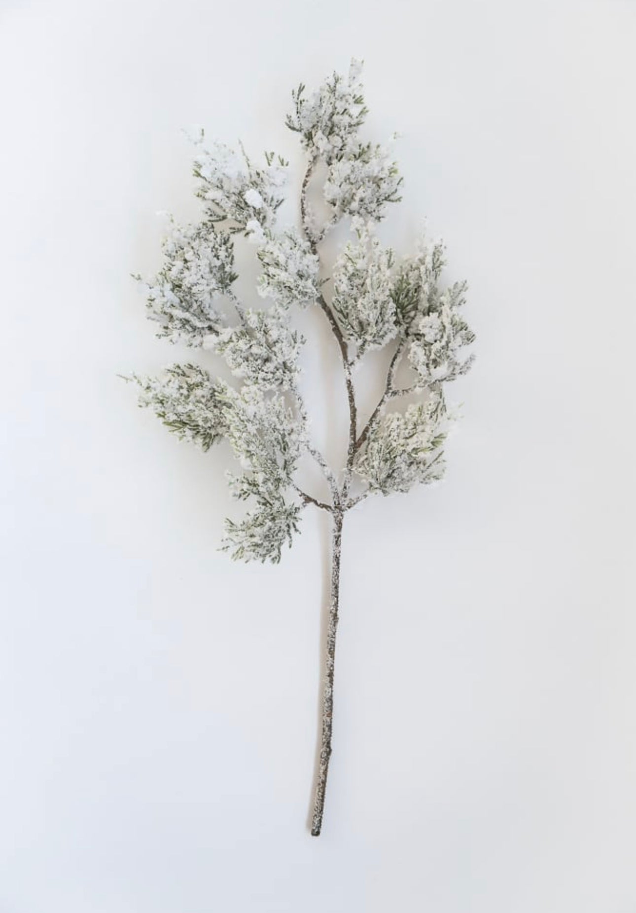 Flocked cedar spray - Greenery Market83860