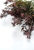 Flower and nandina bundle - purple plum - Greenery MarketArtificial Flora26356
