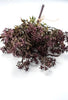 Flower and nandina bundle - purple plum - Greenery MarketArtificial Flora26356
