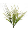 Foxtail and grasses - beige - Greenery Market greenery