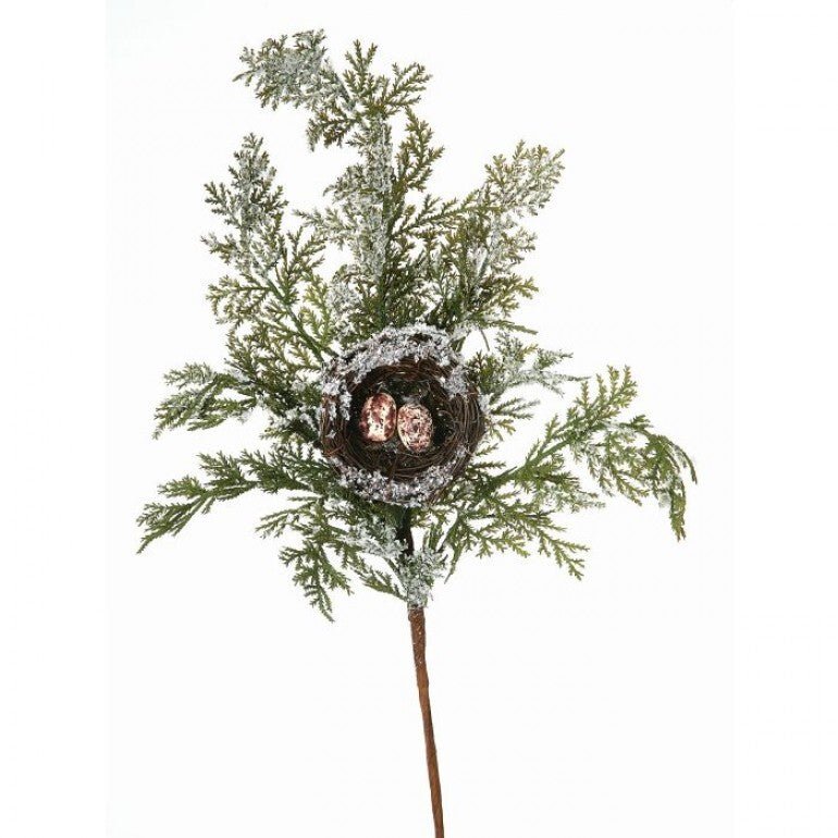 Frosted cedar with birds nest spray - Greenery MarketgreeneryMTX45511