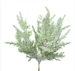 Frosted iced pine bush - Greenery Marketgreenery83878snow