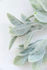 Frosted Leaves bush - Greenery Market83593