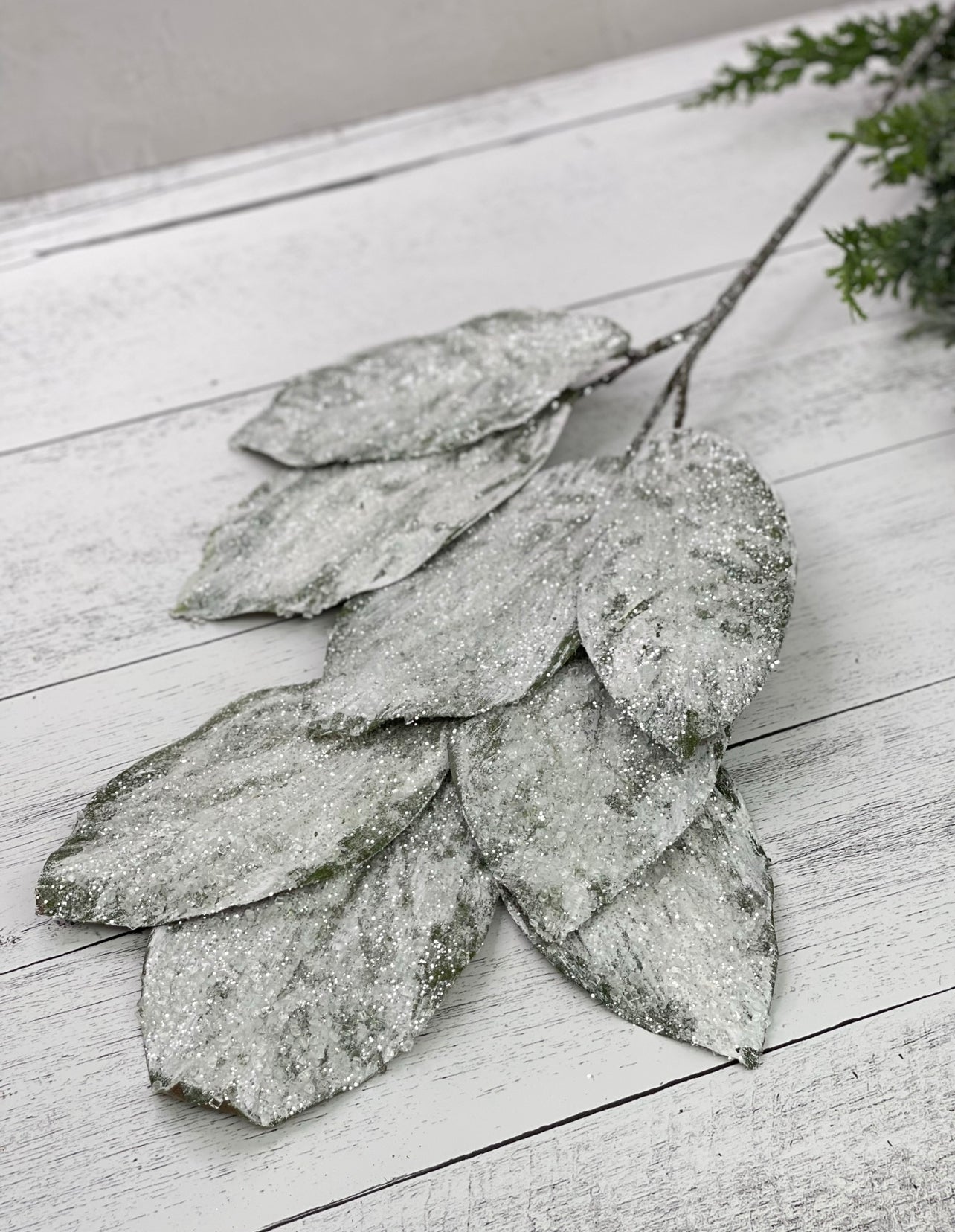 Frosted magnolia leaves spray - Greenery Marketgreenery135262