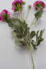 Fuchsia ranunculus spray - Greenery Market84072-FU