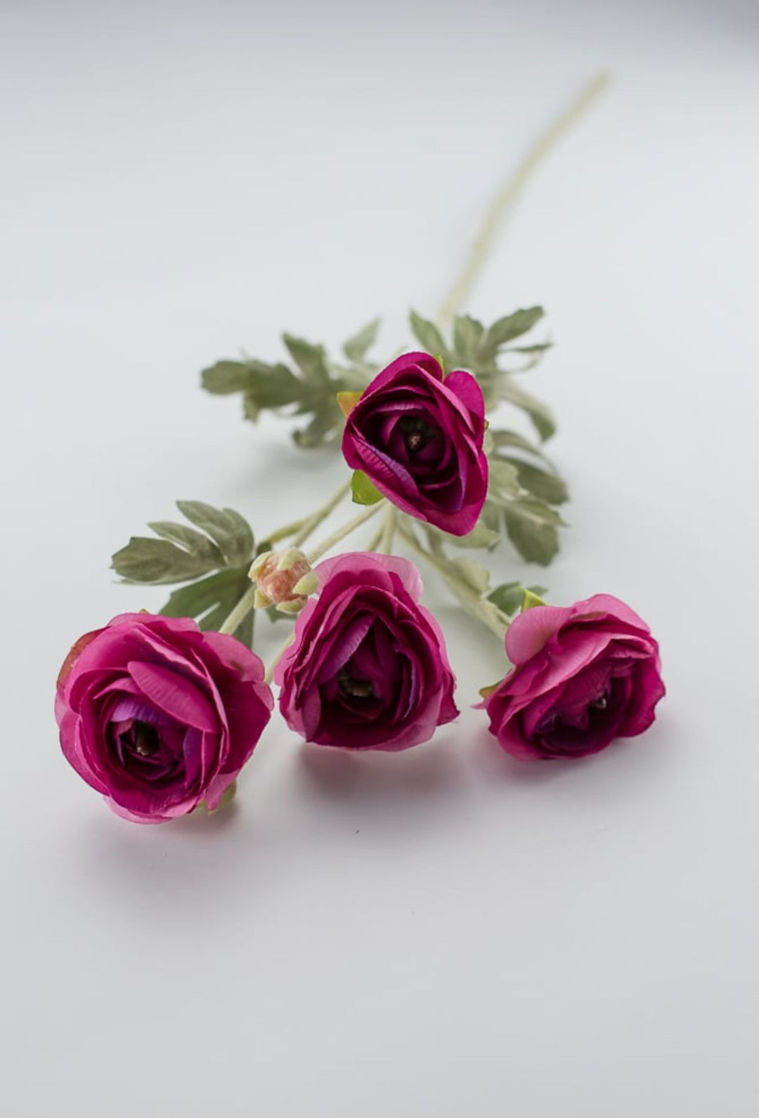 Fuchsia ranunculus spray - Greenery Market84072-FU