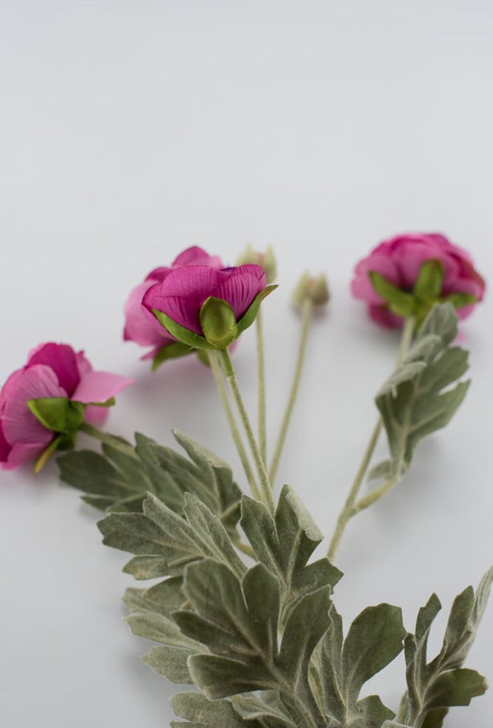 Fuchsia ranunculus spray - Greenery Market