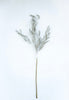 Glittered tassel grass branch spray - platinum - Greenery MarketXG907-PT