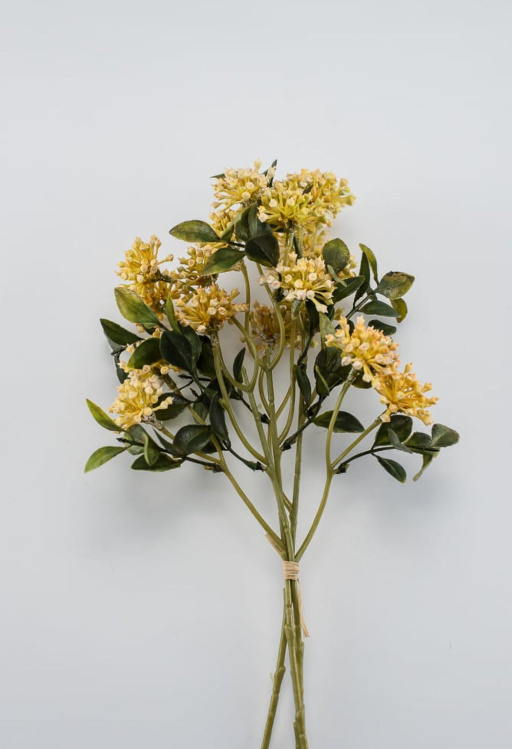 Golden yellow cluster berry bush - Greenery Market26690