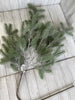 Gray green Fir Pine spray branch - Greenery Market greenery