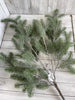 Gray green Fir Pine spray branch - Greenery Market greenery