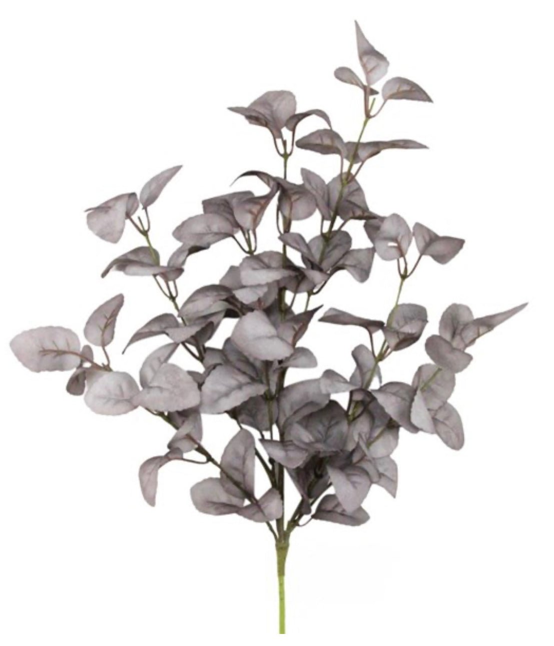 Gray multi tone eucalyptus leaf spray - Greenery MarketFG571910